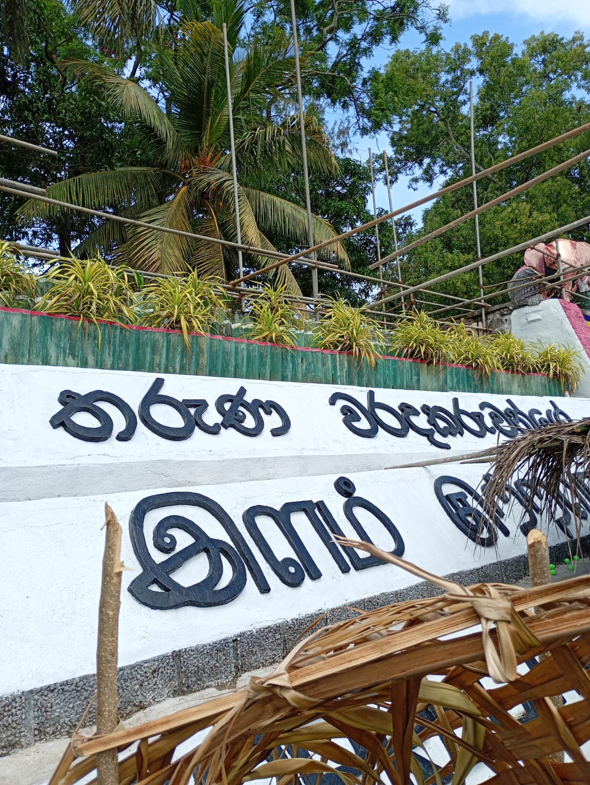 Media Image