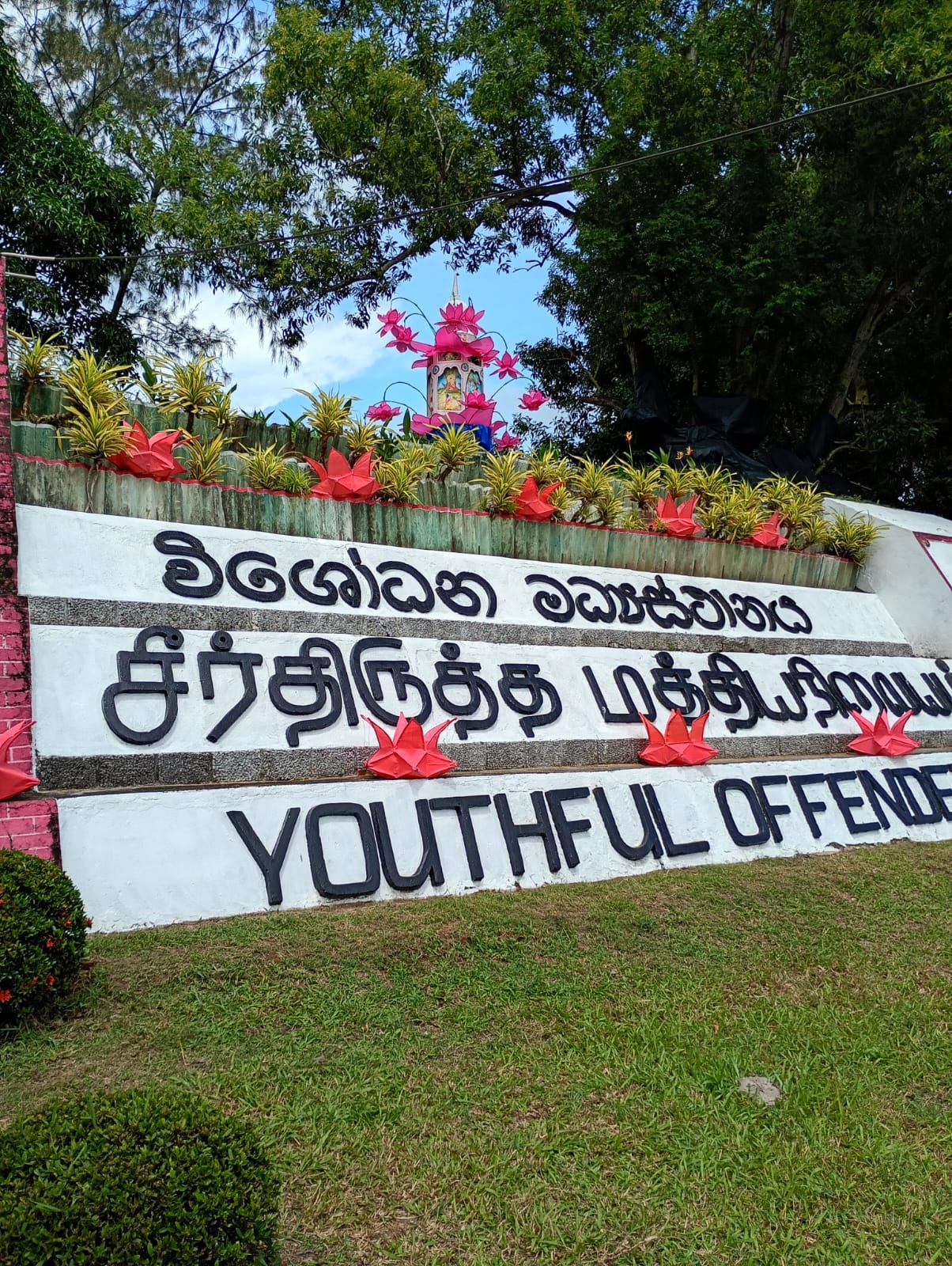 Media Image